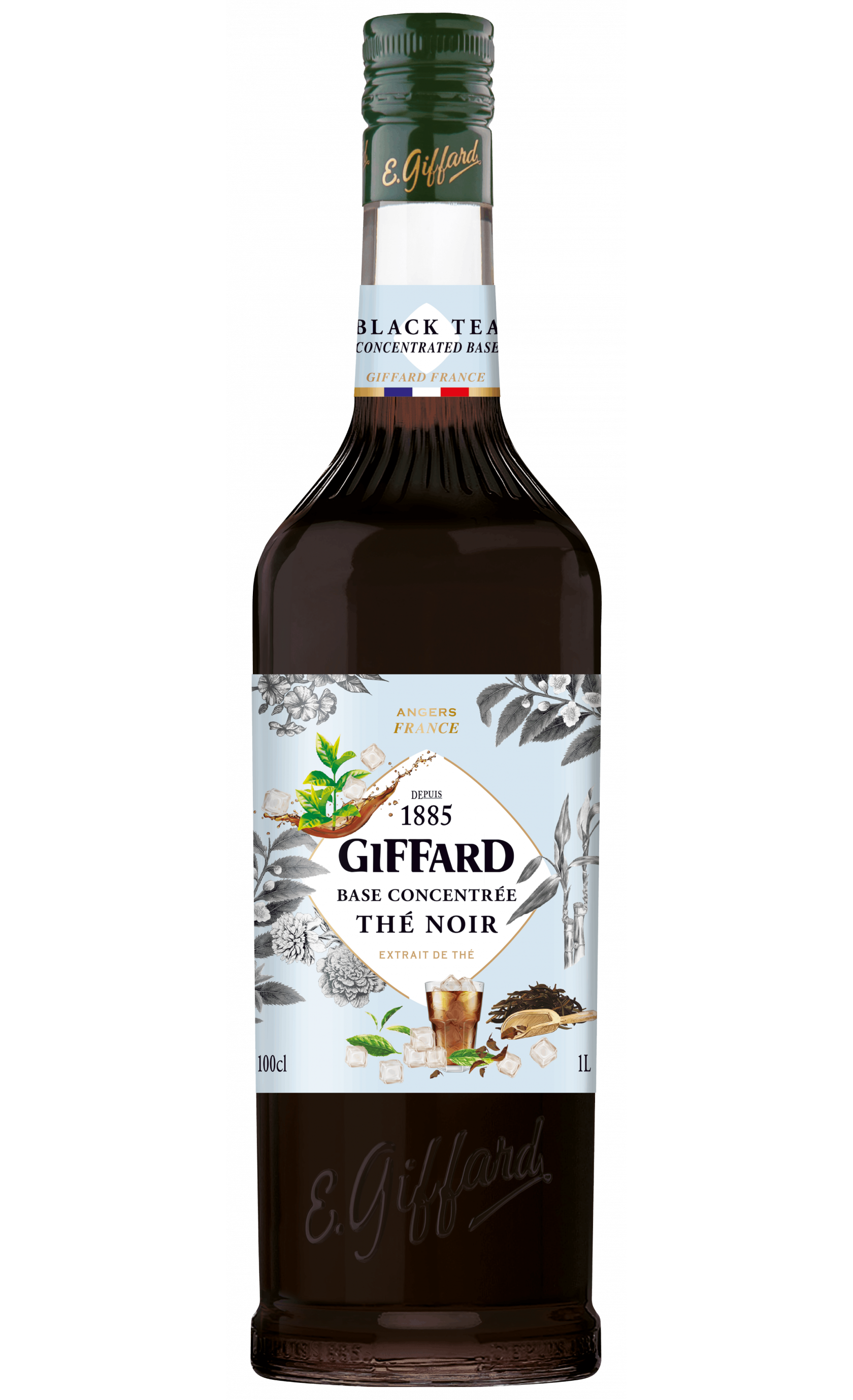 GIFFARD - BLACK TEA CONCENTRATE BAS