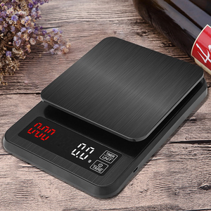 Digital Scale? without logo?