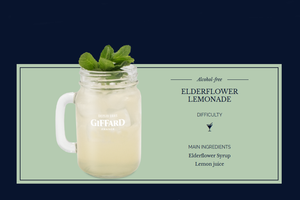 GIFFARD - ELDERFLOWER SYRUP 100CL