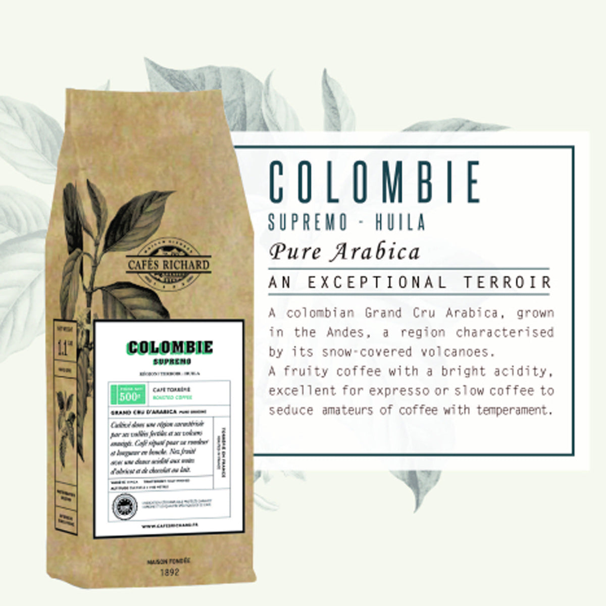 CAFÉ RICHARD - Coffee Colombia IGP Rainforest 500g-Coffee Beans